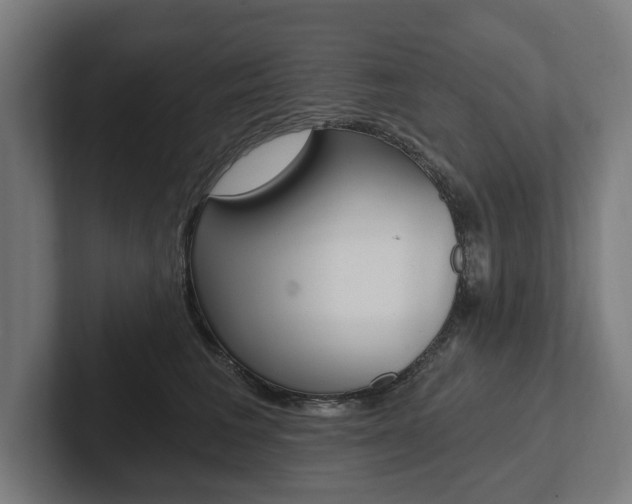X0000102800613200808180934
