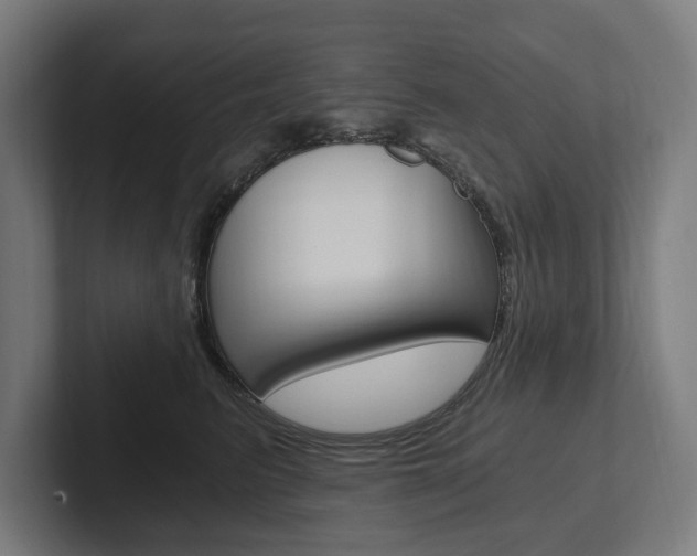 X0000102800615200808180934