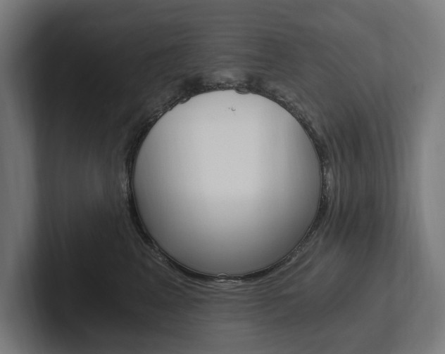 X0000102800617200808180934