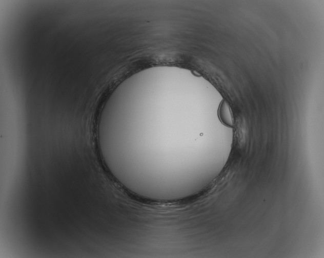 X0000102800619200808180934