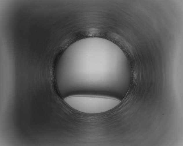 X0000102800620200808180934