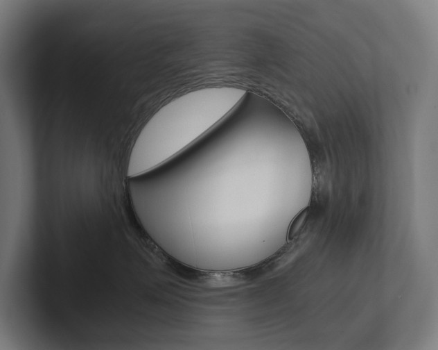 X0000102800623200808180934