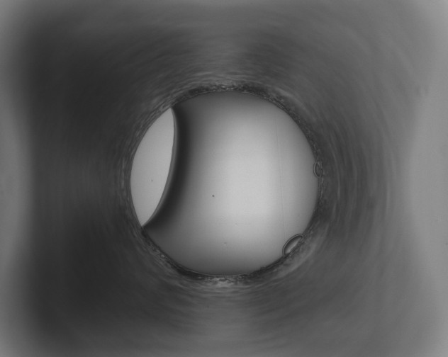 X0000102800624200808180934