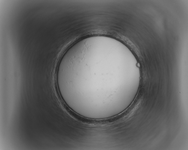 X0000102800625200808180933