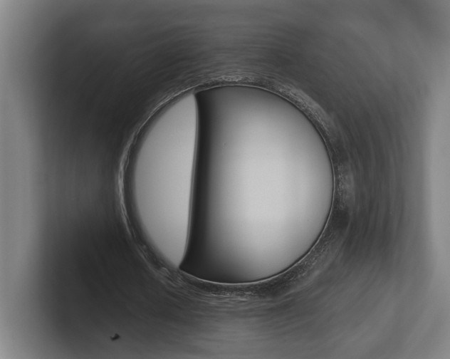 X0000102800626200808180933