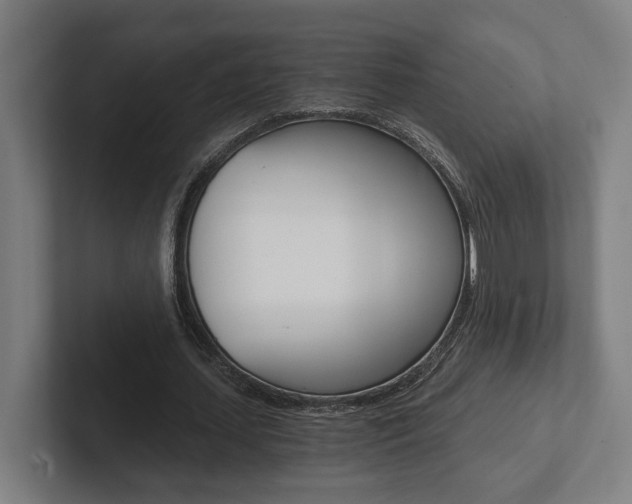 X0000102800627200808180933