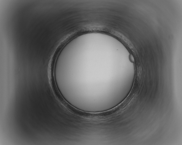 X0000102800629200808180933
