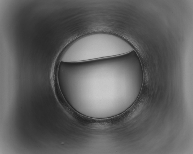X0000102800630200808180933