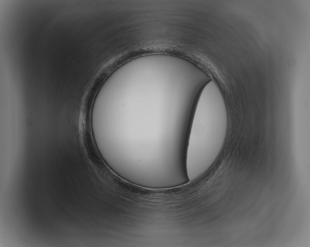 X0000102800636200808180933
