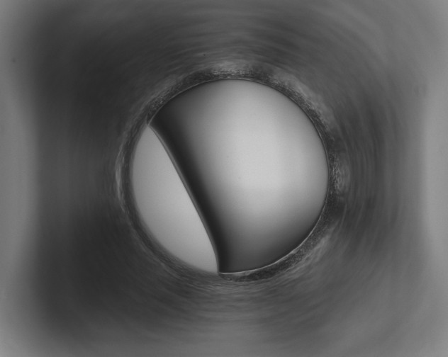 X0000102800637200808180933