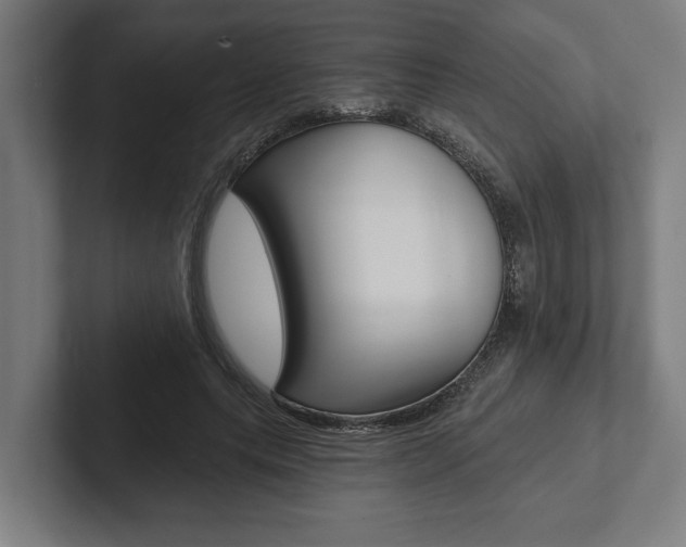 X0000102800639200808180933