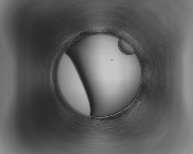 X0000102800640200808180933