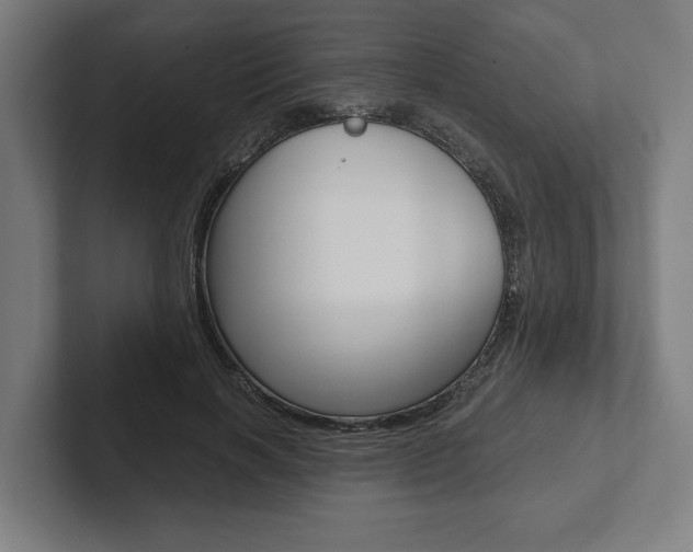 X0000102800646200808180933