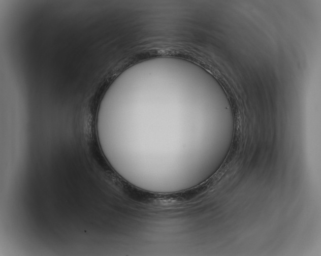 X0000102800650200808180933