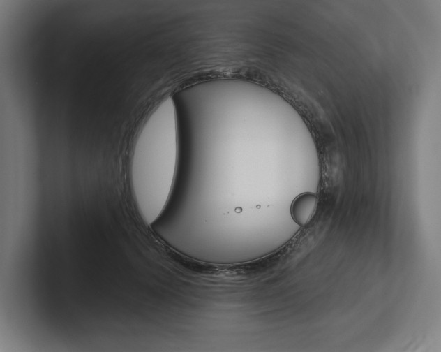 X0000102800656200808180933