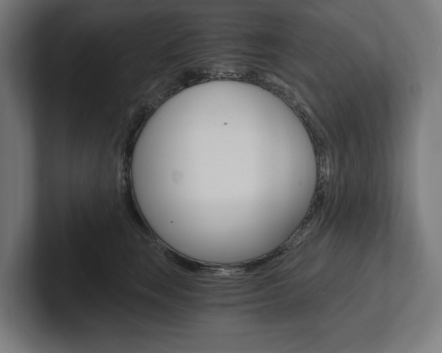 X0000102800663200808180933