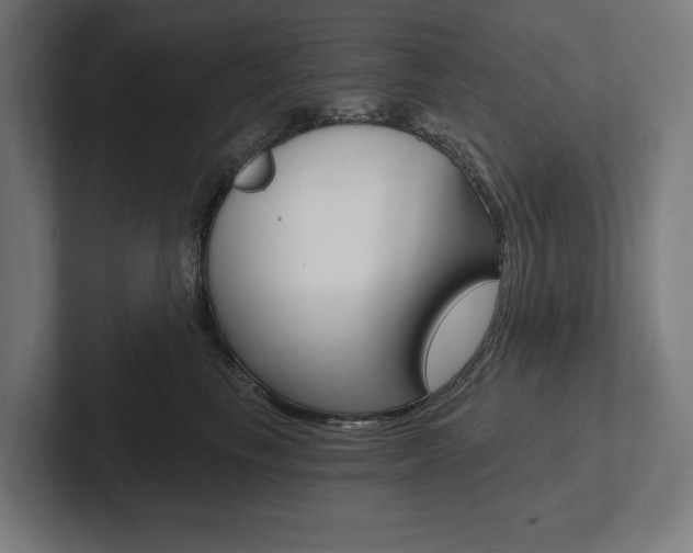 X0000102800665200808180934