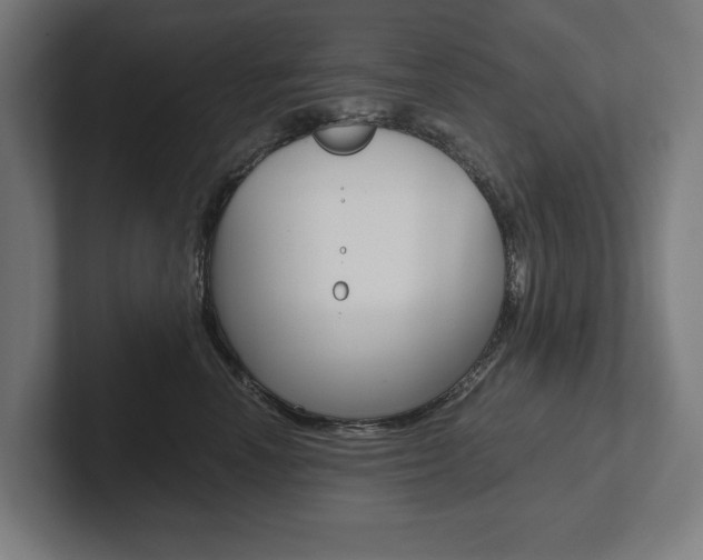X0000102800666200808180934