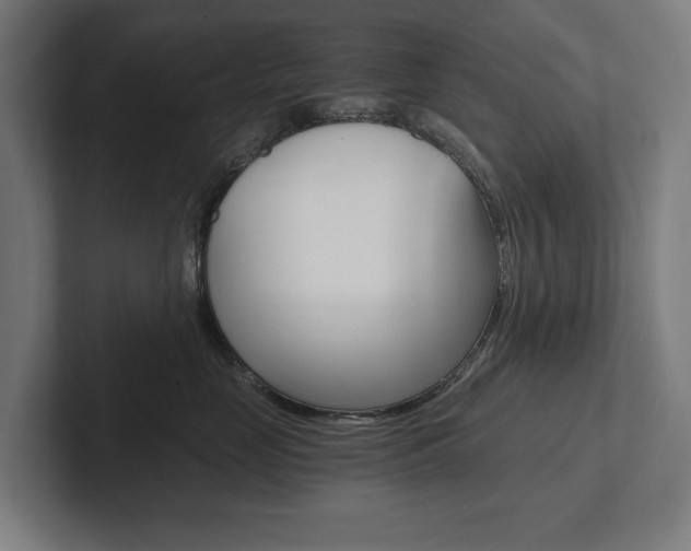 X0000102800669200808180934