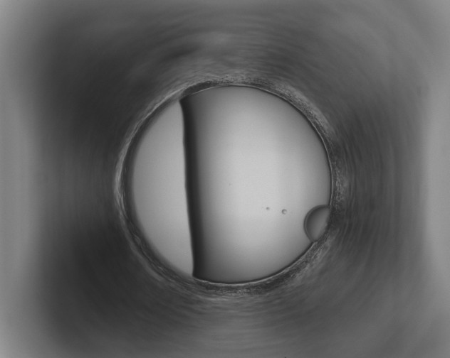 X0000102800674200808180933