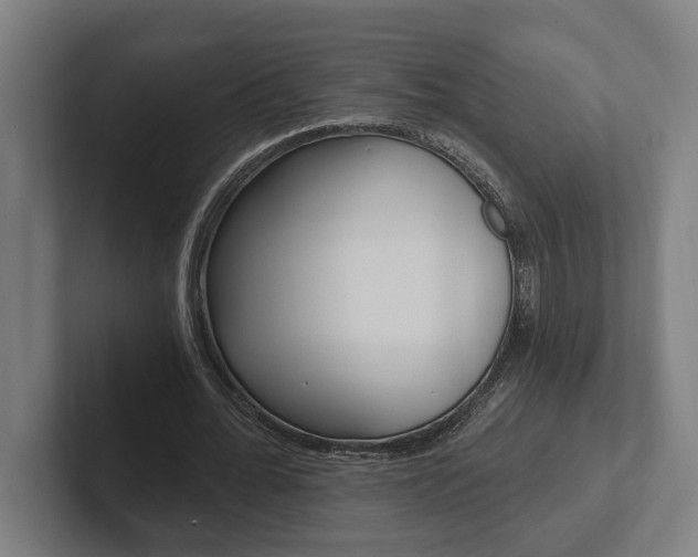 X0000102800676200808180933
