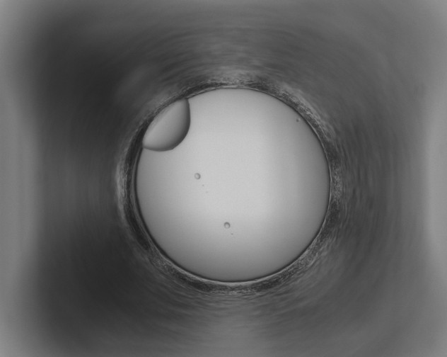 X0000102800679200808180933