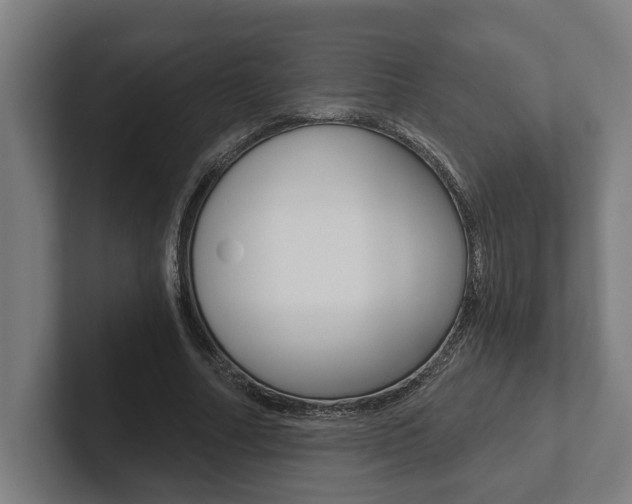 X0000102800682200808180933