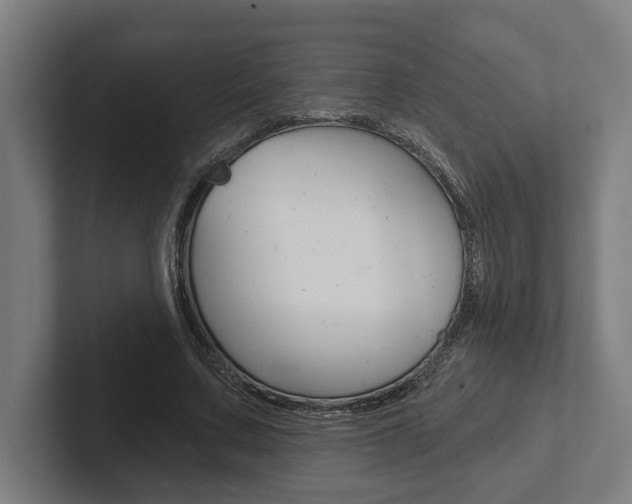 X0000102800683200808180933