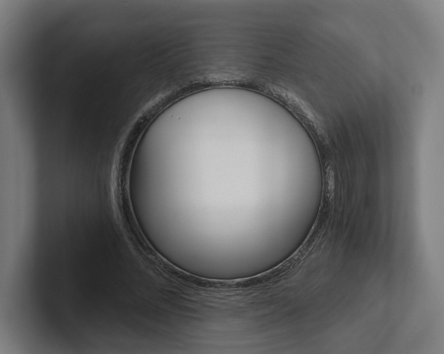 X0000102800684200808180933