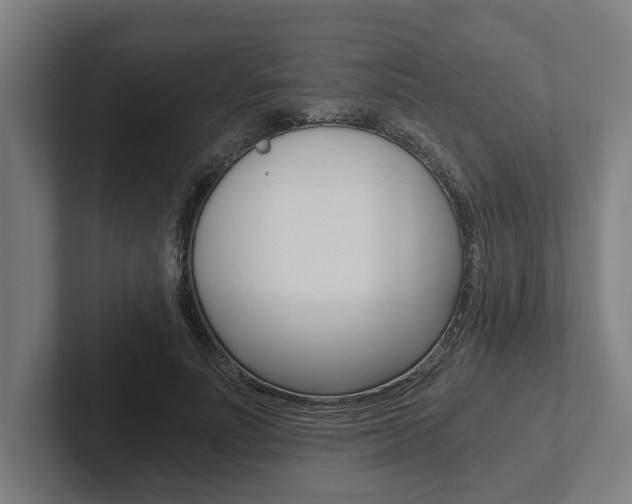 X0000102800691200808180933