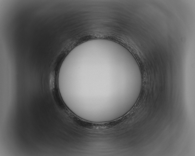 X0000102800694200808180933