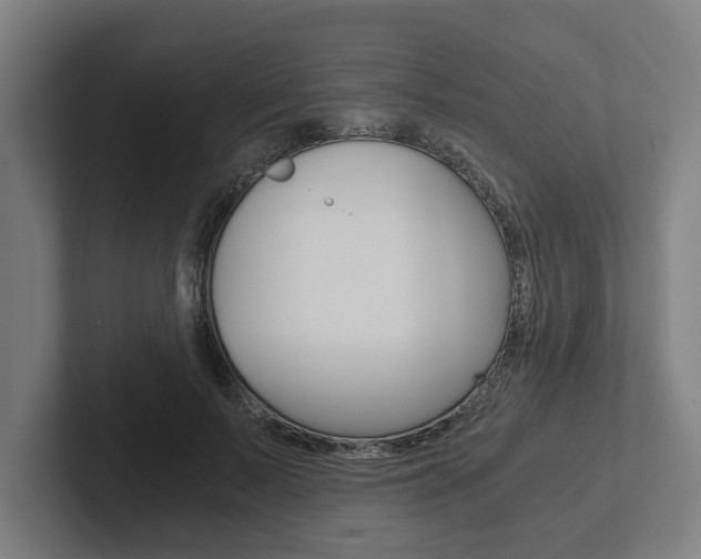 X0000102800695200808180933