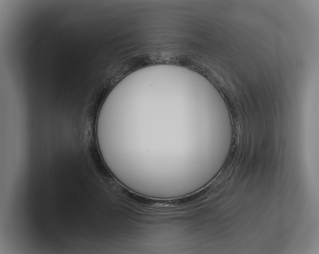 X0000102800699200808180933