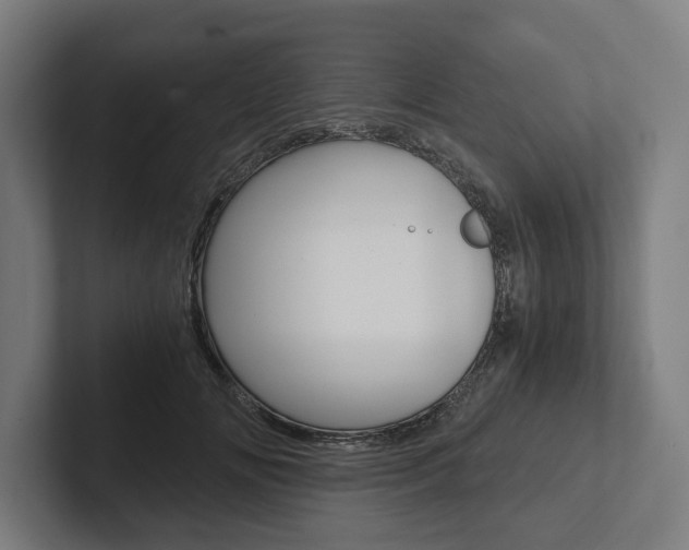 X0000102800702200808180933