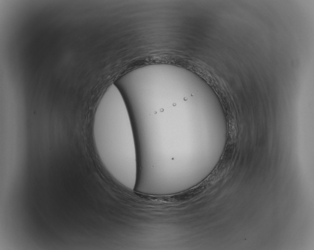X0000102800703200808180933
