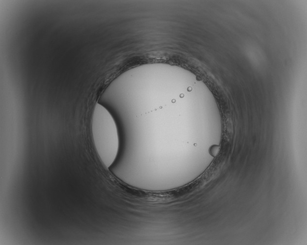 X0000102800707200808180933