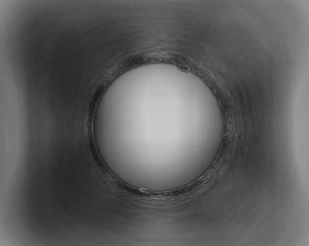X0000102800708200808180933