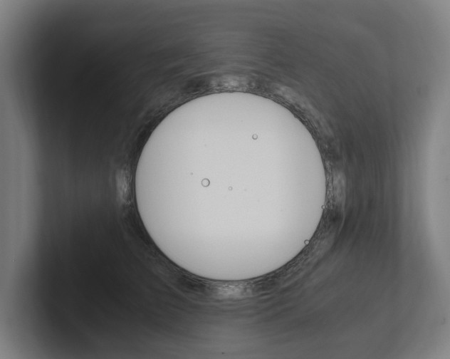 X0000102800709200808180933