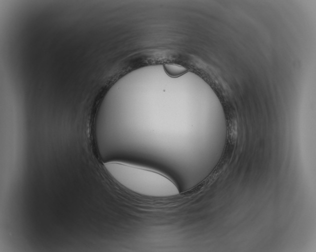 X0000102800715200808180932