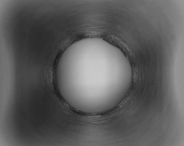 X0000102800716200808180932
