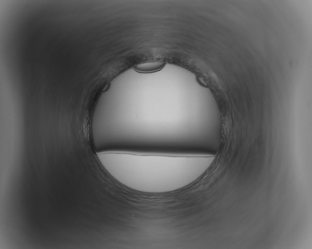 X0000102800719200808180932