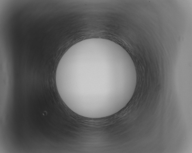 X0000102800720200808180932