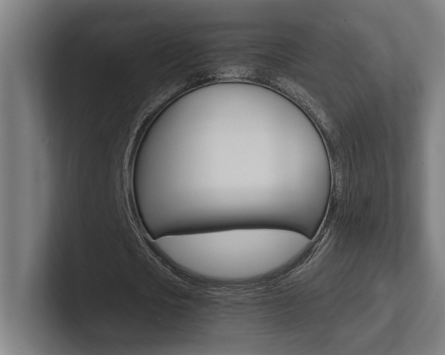 X0000102800721200808180932