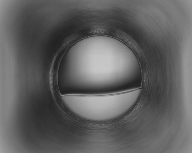 X0000102800722200808180932