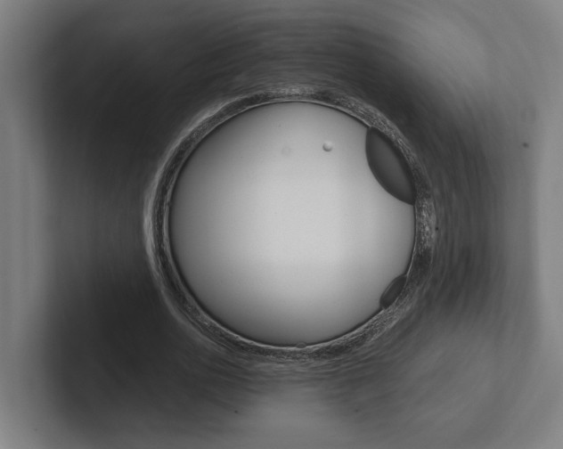 X0000102800726200808180932