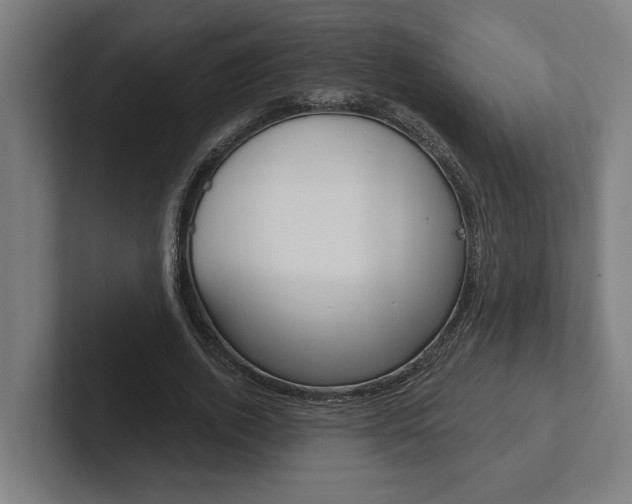 X0000102800728200808180932