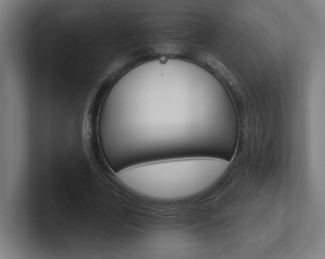 X0000102800731200808180932