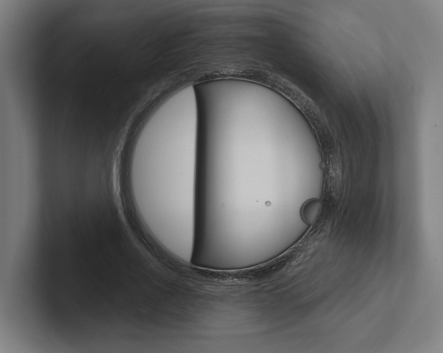 X0000102800734200808180932
