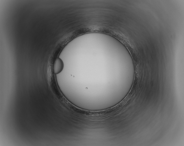 X0000102800740200808180932