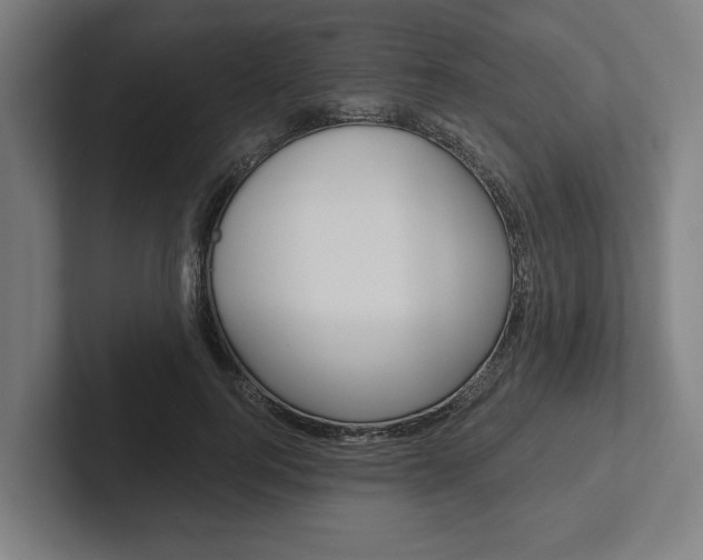X0000102800744200808180932